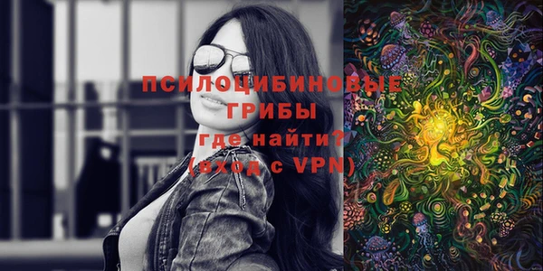 ECSTASY Белокуриха