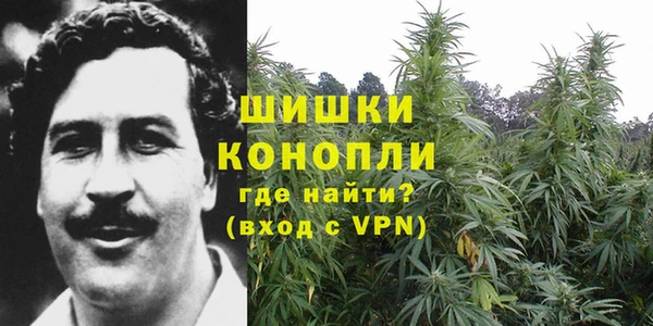 ECSTASY Белокуриха